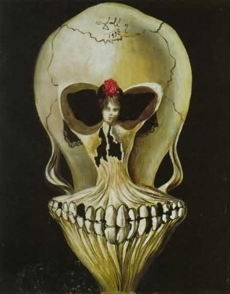 dali illusion dali illusion
