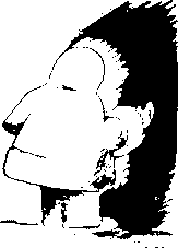eskimo illusion eskimo