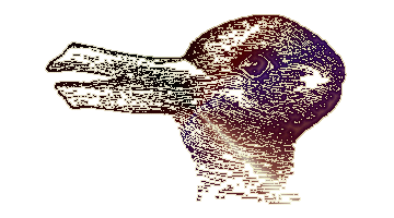 rabbit duck illusion rabbit/duck illusion
